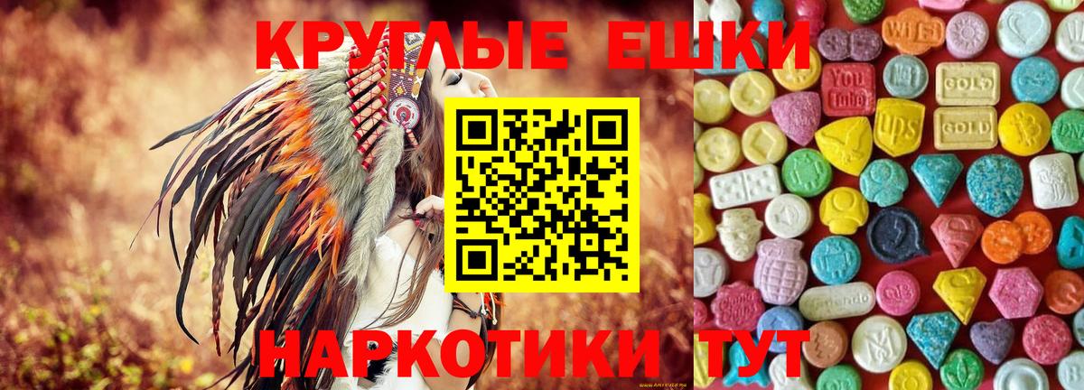 ЭКСТАЗИ Philipp Plein  ЭКСТАЗИ ешки  Зима  Ecstasy  Вход с VPN 