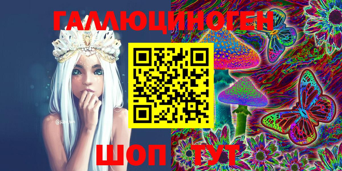 Псилоцибиновые грибы Cubensis Зима