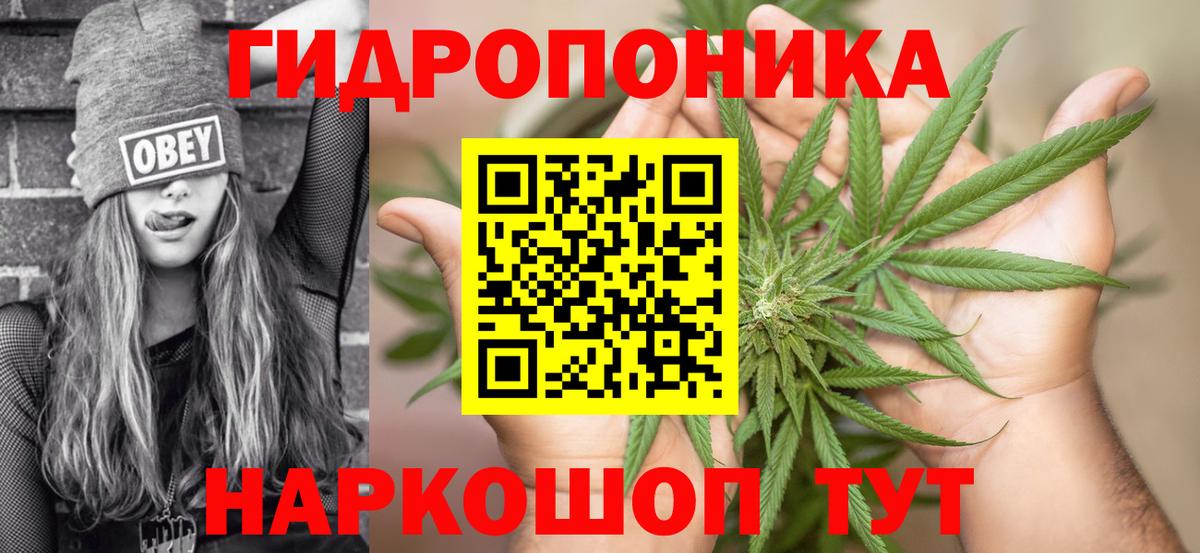 Шишки марихуана MAZAR Зима